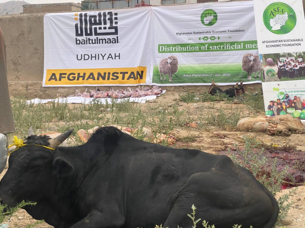 Qurbani Meat Distribution – Kabul Province