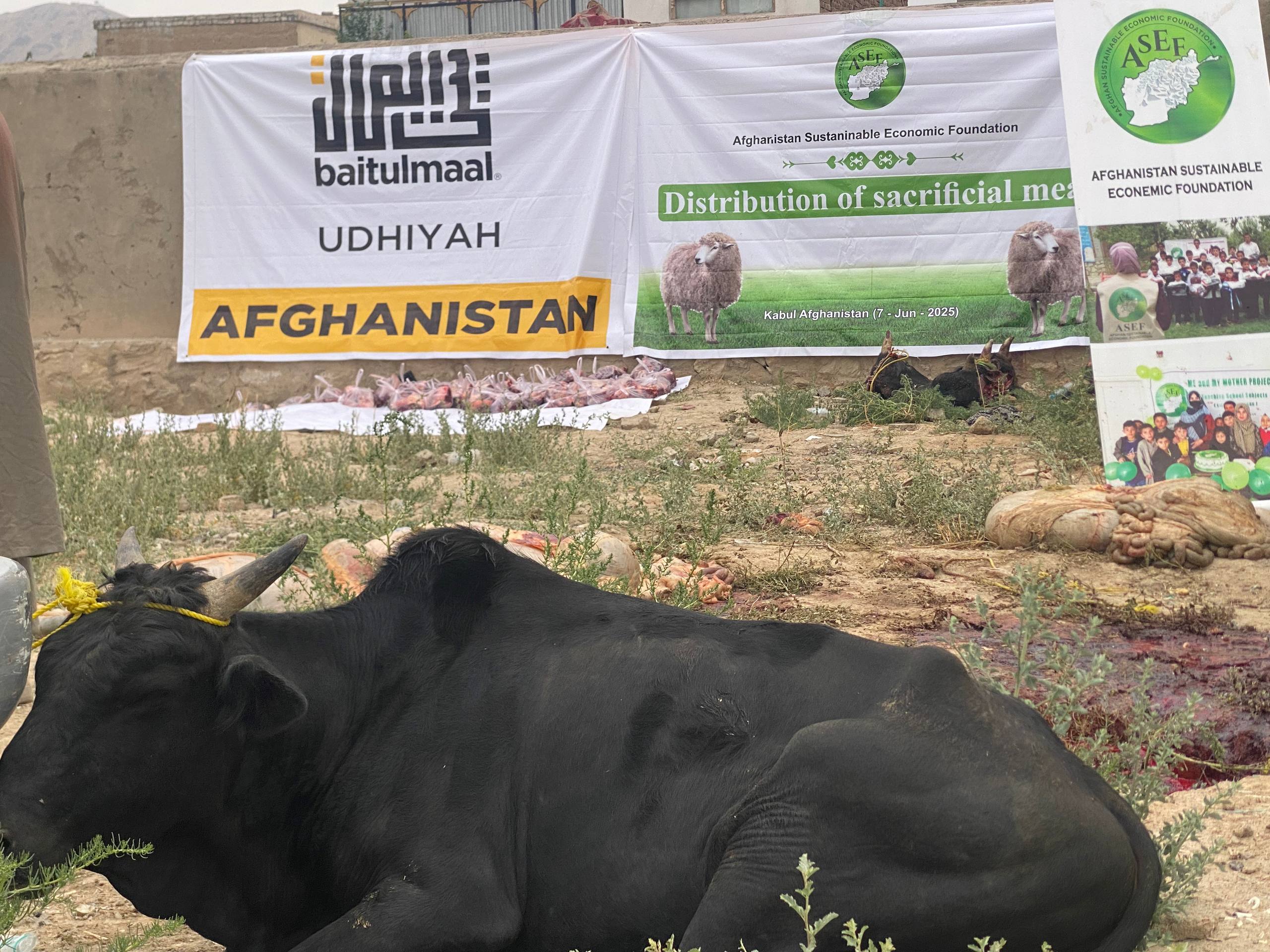 Qurbani Meat Distribution – Kabul Province
